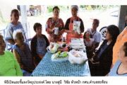 การฝึกอาชีพ