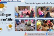 โครงการแก้ไขปัญหาความเดือดร้อนด้านอาชีพ จังหวัดสงขลา ประจำปีงบประมาณ พ.ศ.2567